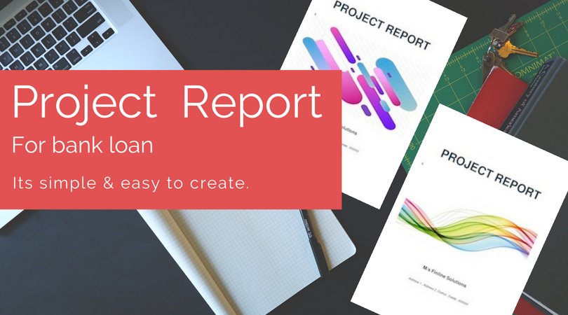 project report for bank loan Finline