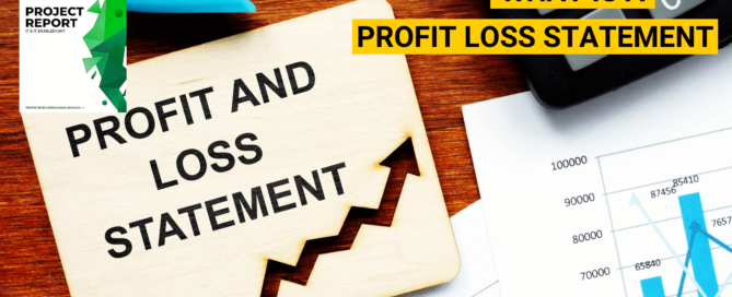 What is a Profit & Loss(P&L) Statement