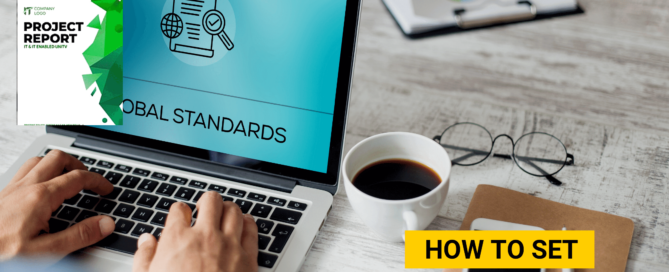 How to set Business Management Standards