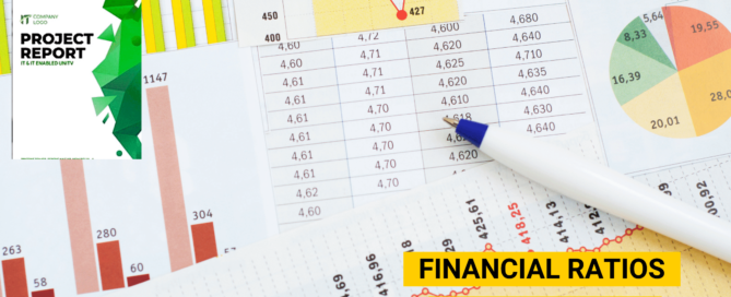 Financial Ratios for Business